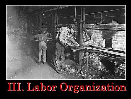 III. Labor Organization