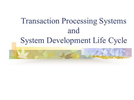 Transaction Processing Systems and System Development Life Cycle