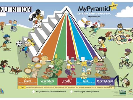 What does the Nutrition System say? Be physically active every day Eat from some food groups as opposed to others Choose healthier foods from each group.