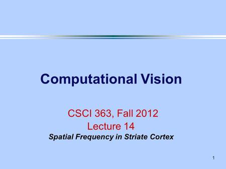 Another viewpoint: V1 cells are spatial frequency filters