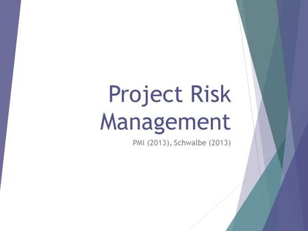 Project Risk Management