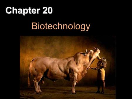 Chapter 20 Biotechnology. Copyright © 2008 Pearson Education Inc., publishing as Pearson Benjamin Cummings Overview: The DNA Toolbox Sequencing of the.