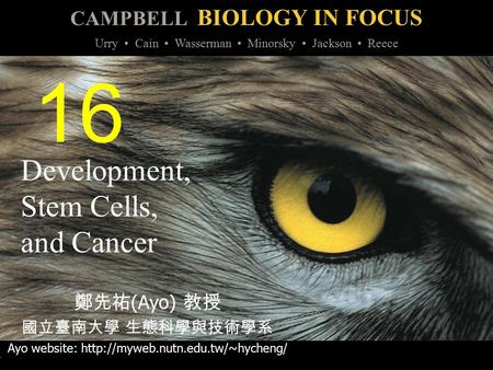 Development, Stem Cells, and Cancer