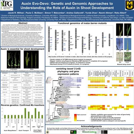 Abstract Auxin Evo-Devo: Genetic and Genomic Approaches to Understanding the Role of Auxin in Shoot Development Auxin regulates nearly every aspect of.