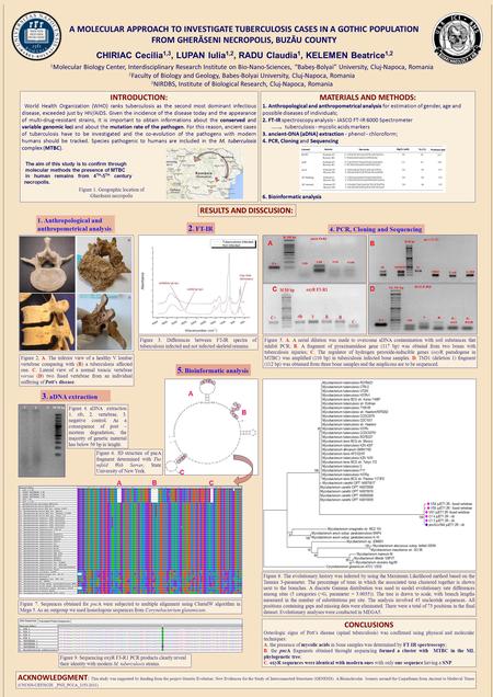 A MOLECULAR APPROACH TO INVESTIGATE TUBERCULOSIS CASES IN A GOTHIC POPULATION FROM GHERĂSENI NECROPOLIS, BUZĂU COUNTY 1 Molecular Biology Center, Interdisciplinary.