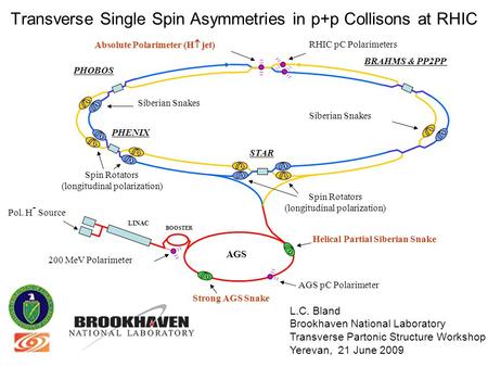 Transverse Single Spin Asymmetries in p+p Collisons at RHIC L.C. Bland Brookhaven National Laboratory Transverse Partonic Structure Workshop Yerevan, 21.