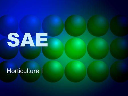 SAE Horticulture I. What is SAE? SAEs are a great way to get classroom credit and FFA awards for doing things like exploring careers, earning money and.