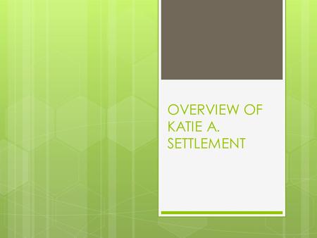 OVERVIEW OF KATIE A. SETTLEMENT. WHO IS KATIE A?  2002-14 year old Caucasian female  Placed in foster care at age 4  Mental health assessment at age.