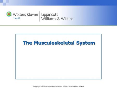 The Musculoskeletal System