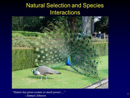 Natural Selection and Species Interactions