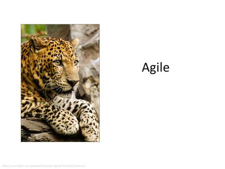 Agile