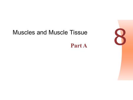 Copyright © 2004 Pearson Education, Inc., publishing as Benjamin Cummings Human Anatomy & Physiology, Sixth Edition Elaine N. Marieb PowerPoint ® Lecture.