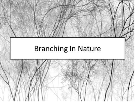 Branching In Nature. BRANCHING! Balance of forces Indicates flow of energy and/or materials Efficient distribution and collection in biological systems: