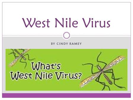 BY CINDY RAMEY West Nile Virus. West Nile virus (WNV) is a mosquito-borne zoonotic arbovirus Family: Flaviviridae Genus: Flavivirus Japanese Encephalitis.