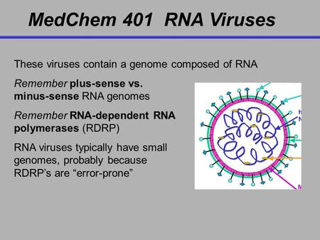 MedChem 401 RNA Viruses These viruses contain a genome composed of RNA Remember plus-sense vs. minus-sense RNA genomes Remember RNA-dependent RNA polymerases.