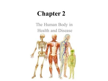 The Human Body in Health and Disease