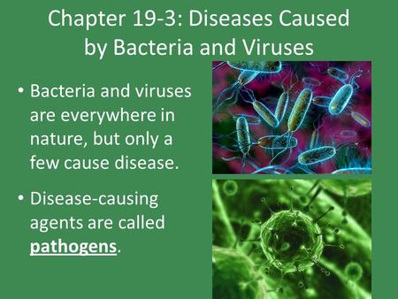 Chapter 19-3: Diseases Caused by Bacteria and Viruses