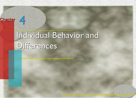 McGraw-Hill/Irwin© 2005 The McGraw-Hill Companies, Inc. All rights reserved. 3-1 Chapter Individual Behavior and Differences 4 4.