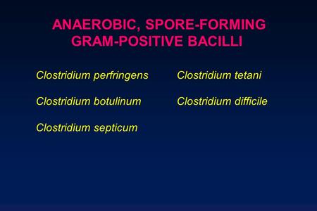 ANAEROBIC, SPORE-FORMING GRAM-POSITIVE BACILLI