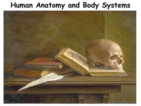 Human Anatomy and Body Systems