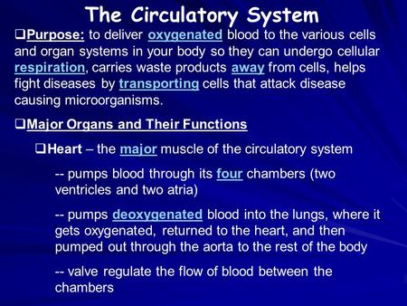 The Circulatory System  Purpose: to deliver oxygenated blood to the various cells and organ systems in your body so they can undergo cellular respiration,