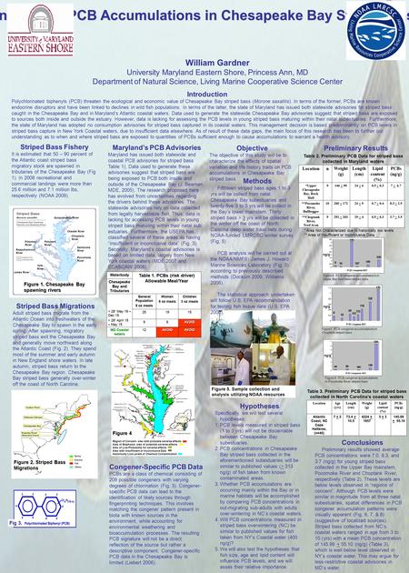 Congener-Specific Analysis of PCB Accumulations in Chesapeake Bay Striped Bass (Morone saxatilis) William Gardner University Maryland Eastern Shore, Princess.