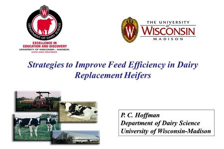 P. C. Hoffman Department of Dairy Science University of Wisconsin-Madison Strategies to Improve Feed Efficiency in Dairy Replacement Heifers.