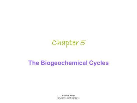 The Biogeochemical Cycles