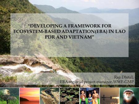 “DEVELOPING A FRAMEWORK FOR ECOSYSTEM-BASED ADAPTATION(EBA) IN LAO PDR AND VIETNAM” Raji Dhital, EBA regional project manager, WWF-GMP.