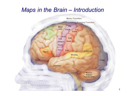 1 Maps in the Brain – Introduction. 2 Cortical Maps Cortical Maps map the environment onto the brain. This includes sensory input as well as motor and.