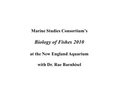 Marine Studies Consortium’s Biology of Fishes 2010 at the New England Aquarium with Dr. Rae Barnhisel.