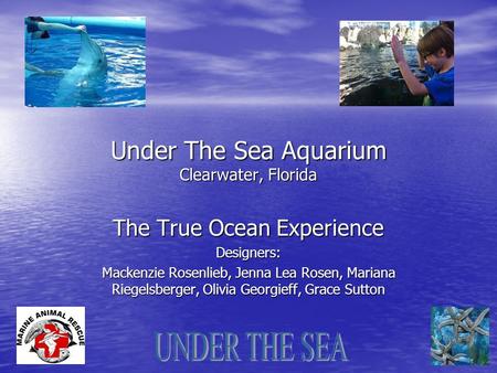 Under The Sea Aquarium Clearwater, Florida The True Ocean Experience Designers: Mackenzie Rosenlieb, Jenna Lea Rosen, Mariana Riegelsberger, Olivia Georgieff,