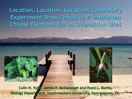 Location, Location, Location: Laboratory Experiment Shows Invasive P. insularum Choose Elephant Ear as Oviposition Sites Colin H. Kyle, James P. McDonough.