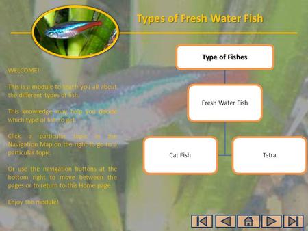 Types of Fresh Water Fish WELCOME! This is a module to teach you all about the different types of fish. This knowledge may help you decide which type of.