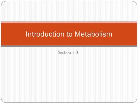 Introduction to Metabolism