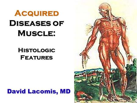 David Lacomis, MD Acquired Diseases of Muscle: Histologic Features.