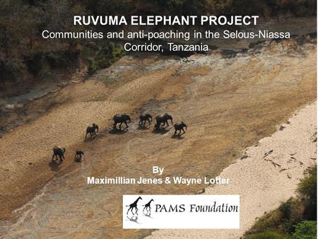 RUVUMA ELEPHANT PROJECT Communities and anti-poaching in the Selous-Niassa Corridor, Tanzania By Maximillian Jenes & Wayne Lotter.