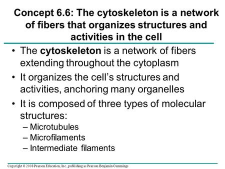 It is composed of three types of molecular structures: