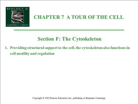 CHAPTER 7 A TOUR OF THE CELL Copyright © 2002 Pearson Education, Inc., publishing as Benjamin Cummings Section F: The Cytoskeleton 1.Providing structural.