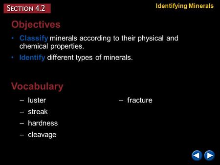 Objectives Vocabulary