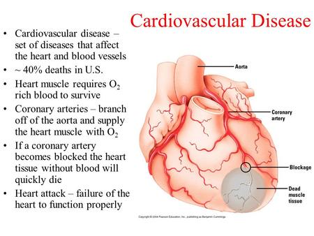 Cardiovascular Disease