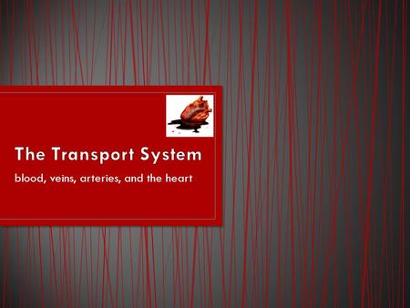 Blood, veins, arteries, and the heart. The central organ responsible for pumping blood throughout the transport system is your heart Four chambers (two.