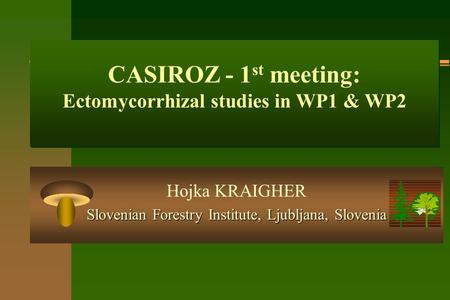 CASIROZ - 1 st meeting: Ectomycorrhizal studies in WP1 & WP2 Hojka KRAIGHER Slovenian Forestry Institute, Ljubljana, Slovenia.