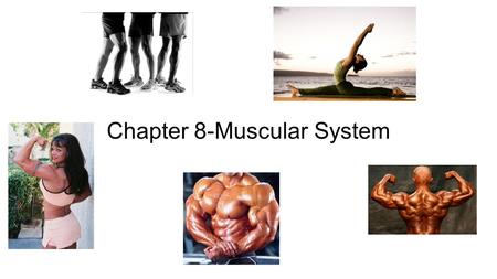 Chapter 8-Muscular System. Case Study # 1 Signs and Symptoms: -Respiratory Acidosis -Accelerated oxygen consumption -Extreme heat production Case Study.