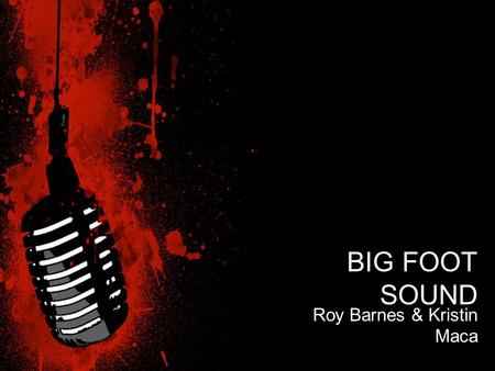 Roy Barnes & Kristin Maca BIG FOOT SOUND. To make a social site for music through lessons, and events! For purchase: ~Music products of all genres ~Records,