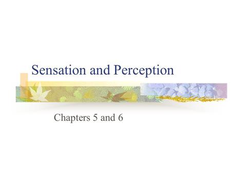 Sensation and Perception