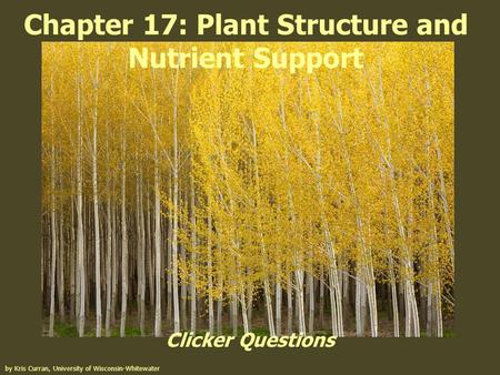 Chapter 17: Plant Structure and Nutrient Support Clicker Questions by Kris Curran, University of Wisconsin-Whitewater.