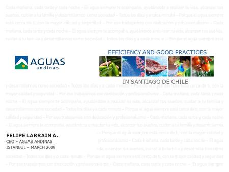 FELIPE LARRAIN A. CEO – AGUAS ANDINAS ISTANBUL – MARCH 2009 EFFICIENCY AND GOOD PRACTICES IN SANTIAGO DE CHILE.