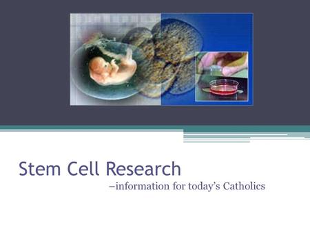 Stem Cell Research –information for today’s Catholics.