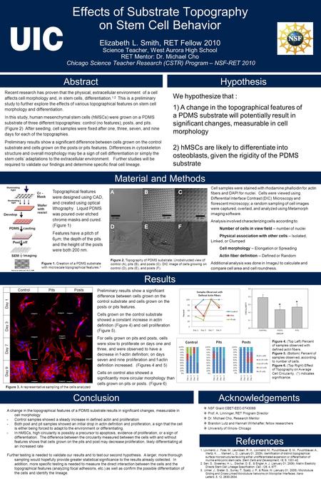 Effects of Substrate Topography on Stem Cell Behavior Elizabeth L. Smith, RET Fellow 2010 Science Teacher, West Aurora High School RET Mentor: Dr. Michael.